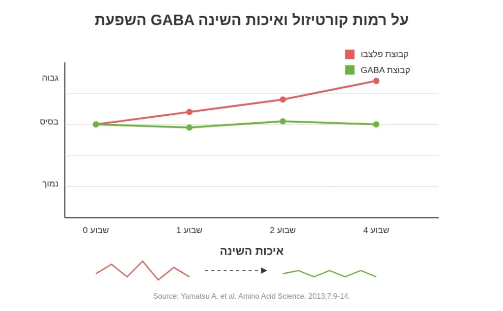 מחקר GABA ושינה