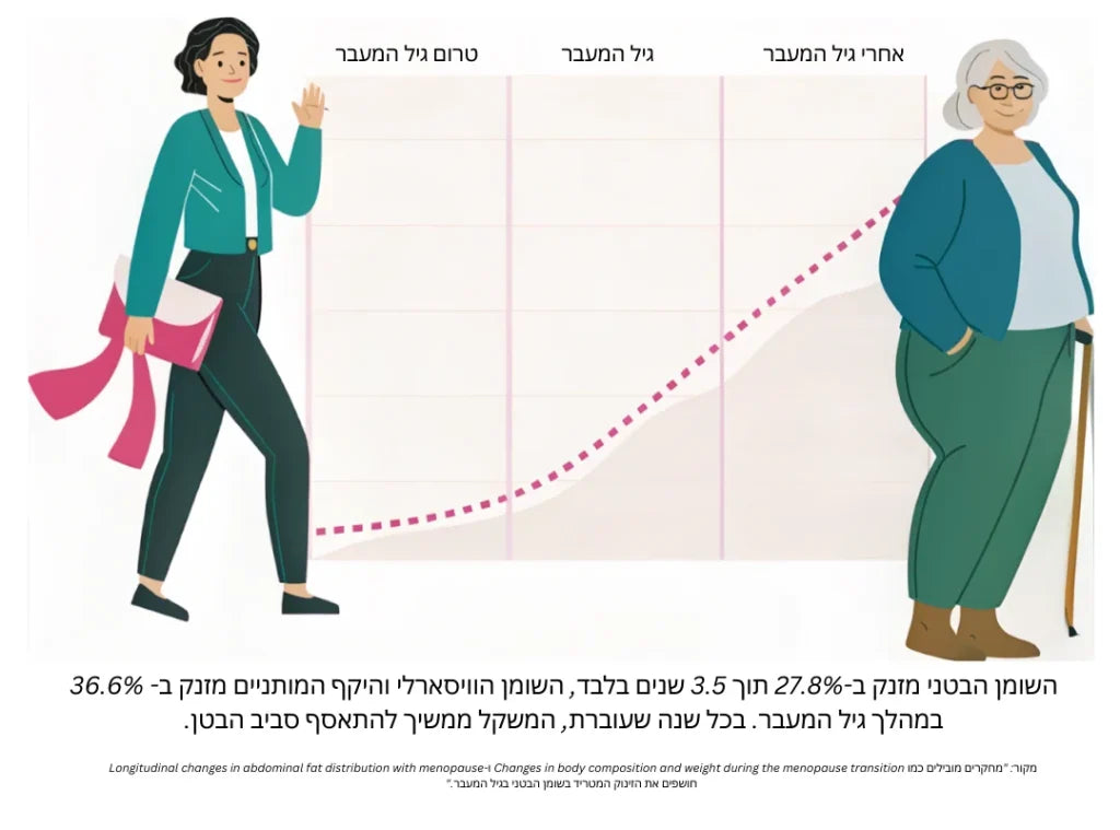 הסבר ויזואלי על עלייה במשקל אחרי גיל 40